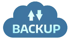 Salesforce Data Backup and Recovery